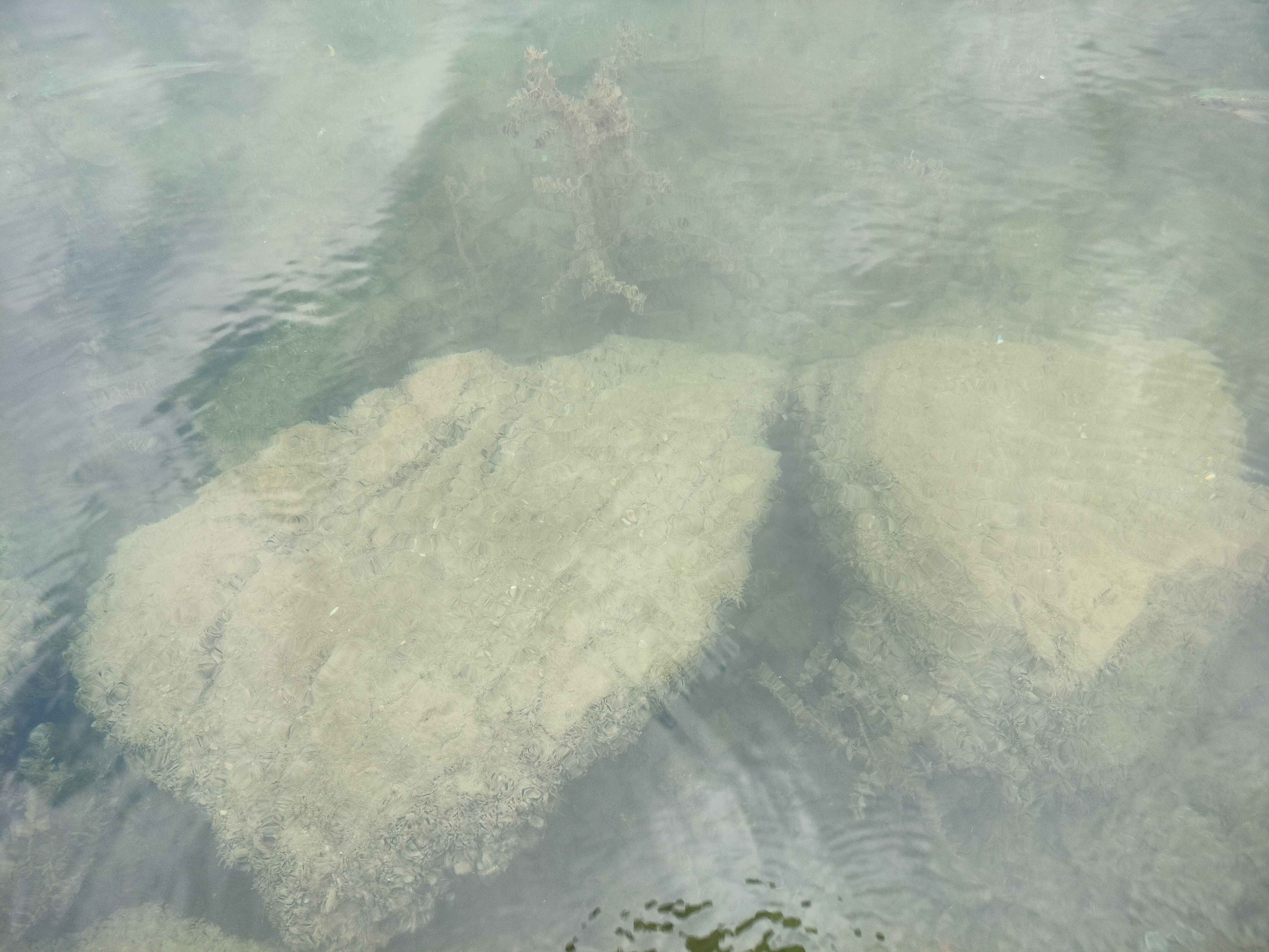 Underwater Stone Scenery